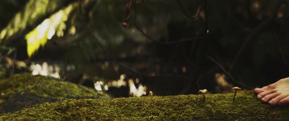 Man walks across mossy log