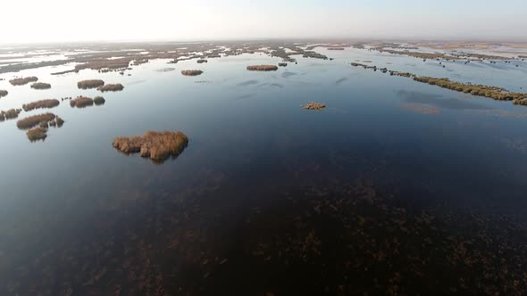  Wetland Ecosystem