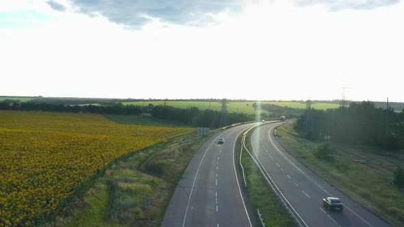 Highway Road And Sunflower Field 10