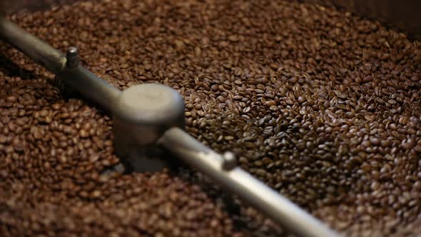 Coffee Production. Brown Beans Roasting In Machine Closeup