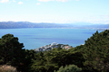 Mt Victoria, Wellington, New Zealand - PhotoDune Item for Sale
