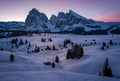 Alpi di Suisi - PhotoDune Item for Sale