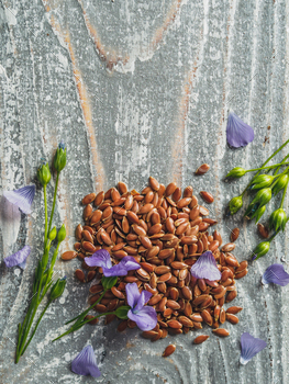 Flax seeds and flaxseed oil with copy space / Photodune, Misc