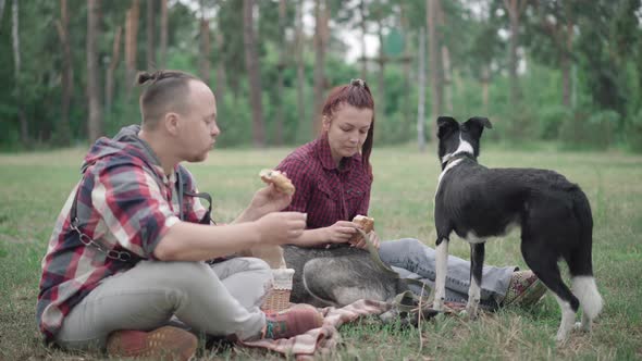 Portrait of Relaxed Young Woman Having Picnic Outdoors with Husband and Dogs, Brunette Caucasian