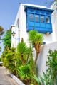 Palm trees and balcony on white and blue city of Sidi Bou Said - PhotoDune Item for Sale
