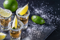 Tequila with lime on dark table with sprinkled salt - PhotoDune Item for Sale