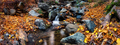 Waterfall on a mountain river in the autumn forest - PhotoDune Item for Sale