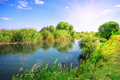 River in a meadow among green trees - PhotoDune Item for Sale