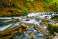 Waterfall on mountain river in autumn forest - PhotoDune Item for Sale