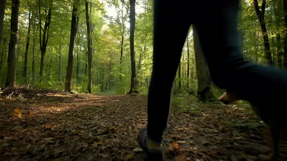 Woman Feet Walking the Dog in the Park Forest