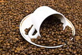 Cup of coffee in the coffee beans - PhotoDune Item for Sale