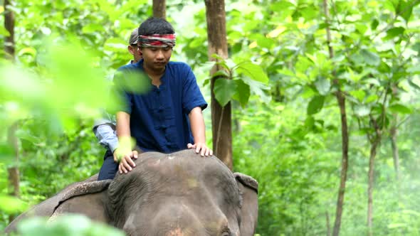 Two Man Rides His Elephant Walking In The Village 