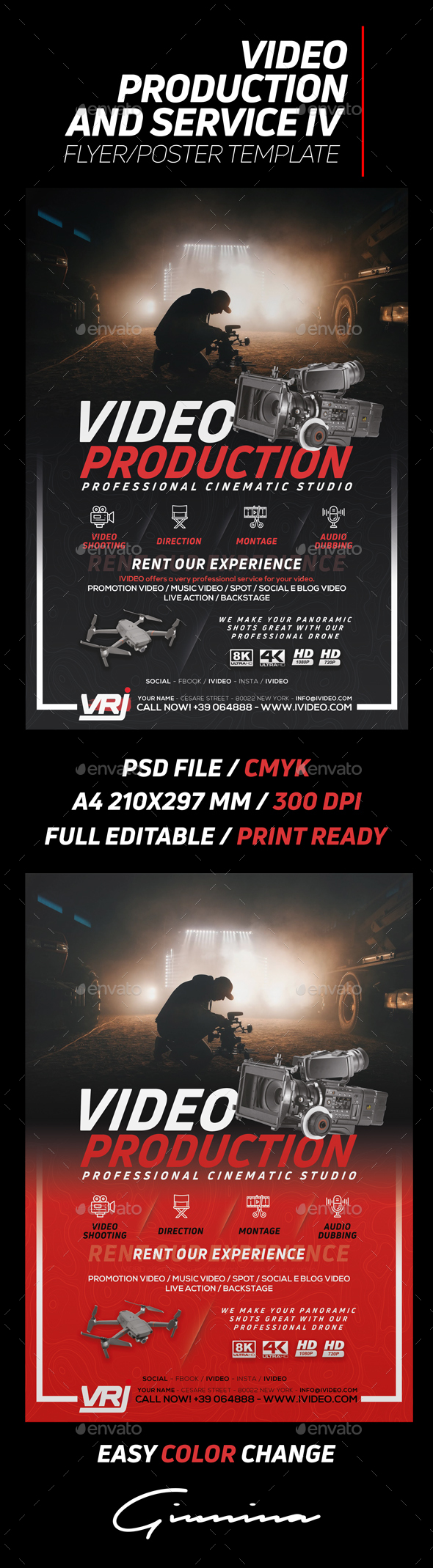 Video Production And Services 4 Flyer/Poster