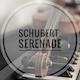 Schubert's Serenade Piano & Violin solo