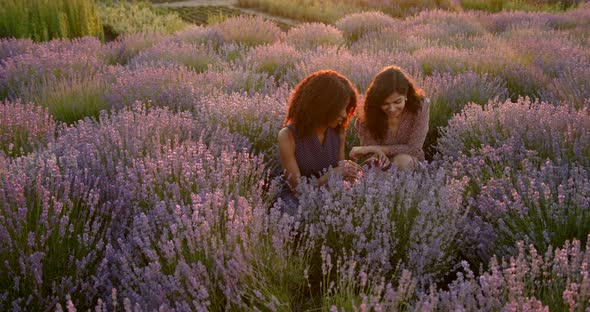 Young Women Sitting in Lavender Field on Sunset