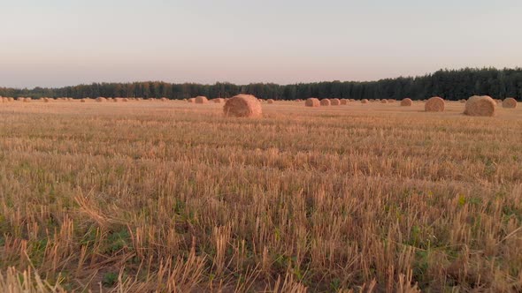 Straw Bales on Farmland