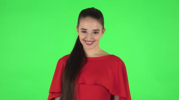 Portrait of Pretty Young Woman Is Smiling Broadly and Winking. Green Screen