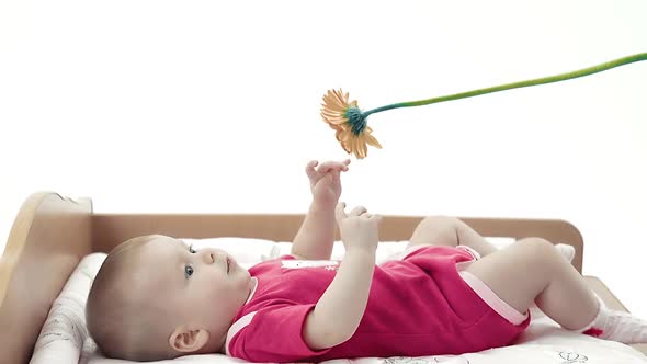 Baby Playing with a Flower, Trying To Take It