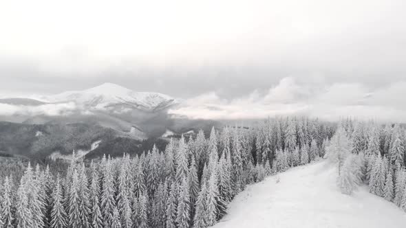 Aerial Drone Panning Shot of Winter Forest and Mountain Valley