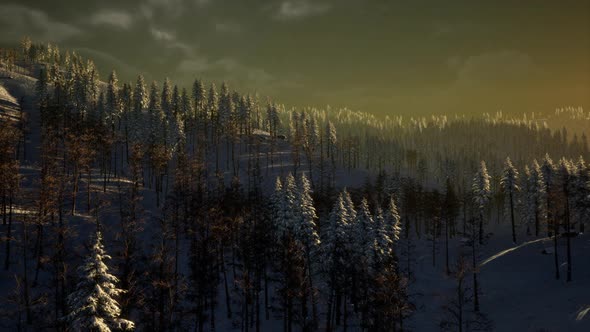 Fog and Snow on Mountain alt