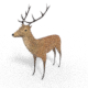 3D Deer Model - 3DOcean Item for Sale