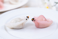 Chinese Har Gao Dim Sum dumplings in the shape of a swan - PhotoDune Item for Sale