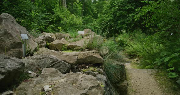 Walking on a small path in a botanical garden near Ulm, Germany. Cameraes past stones and sticks. Fo