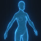 Human Hologram Female 3D Model - 3DOcean Item for Sale
