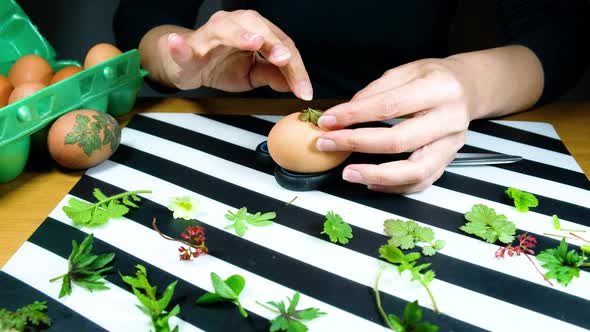 Female woman hands traditionally coloring eggs. Dye Easter Eggs in Nature's Hues.