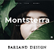 Monsterra - Google Slide Template - GraphicRiver Item for Sale