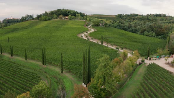 Drone view of vineyards in Friuli, Italy