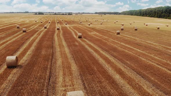 Flying over a field with beautiful haystacks harvested