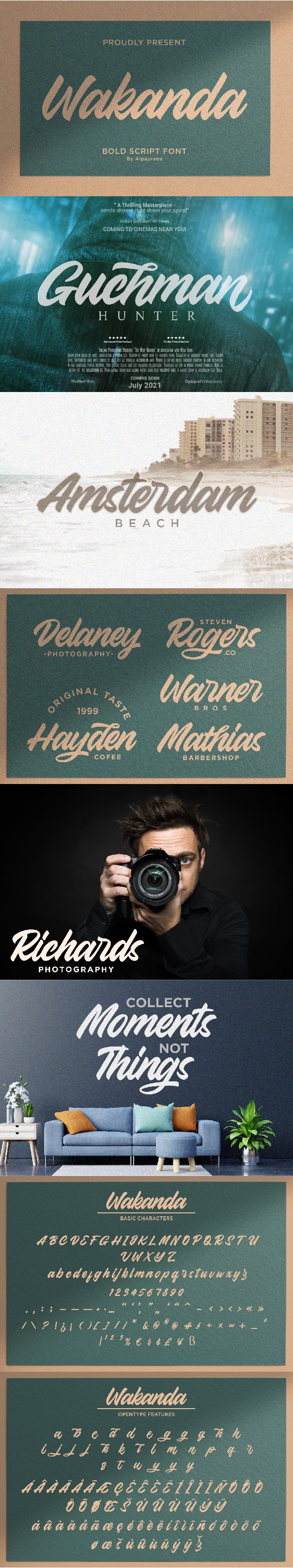 Script Fonts Graphics Designs Templates From Graphicriver