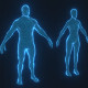 Human Hologram Male and Female 3D Model - 3DOcean Item for Sale