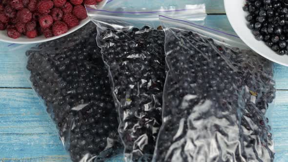 Packages with Blueberries in Zipper Plastic Bags for Freezing. Frozen, Preservation Berries Food