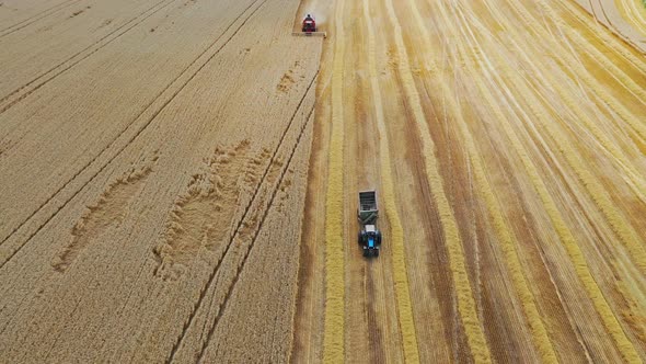 Grain harvest combine harvester. Aerial view of combine harvesting wheat