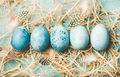 Blue painted traditional eggs for Easter holiday in row - PhotoDune Item for Sale