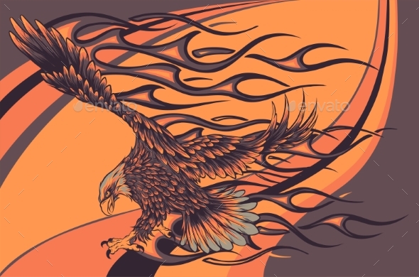 Flaming Eagle on Colored Background Vector