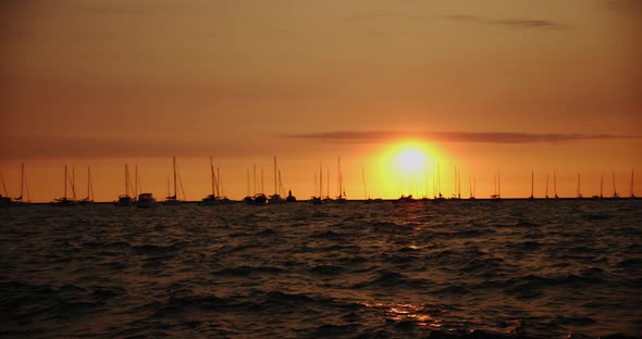 Sunset Dock Pier, Boats and Yachts Movement in Water in Golden Sunset  Slow Motion