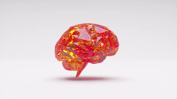 Diamond Crystal Brain