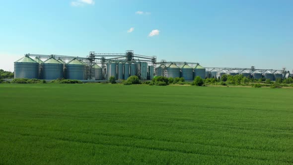 Green Field on the Background of Grain Elevators