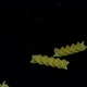 Fusilli Paste Will Fall Into the Water - VideoHive Item for Sale