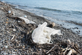crumpled plastic polyethylene oilcloth, garbage, junk litter, broken tree branches on pebble beach - PhotoDune Item for Sale