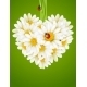 Floral love card (camomile heart) - GraphicRiver Item for Sale