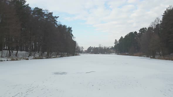 Frozen Lake In Forest alt