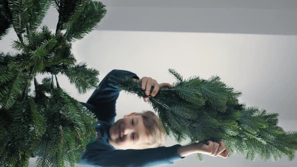 the Boy Spreads the Branches of the Christmas Tree