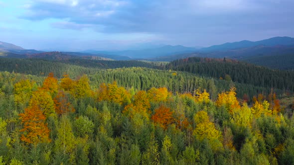 Aerial View of a Bright Autumn Forest on the Slopes of the Mountains at Sunrise