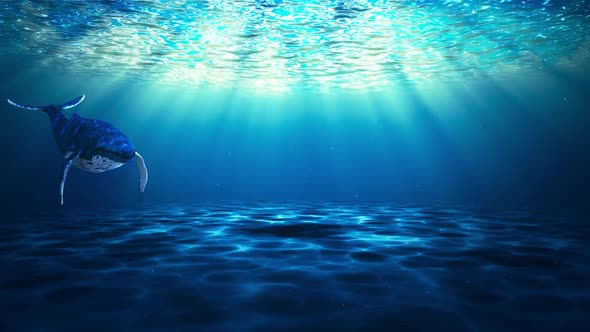 Under Water Whale Swimming  alt