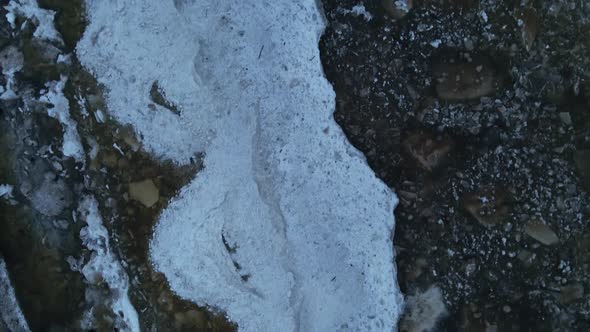 Ice Drifting with Fallen Trees During Windy Weather with Waves at Sea Top Down Aerial View