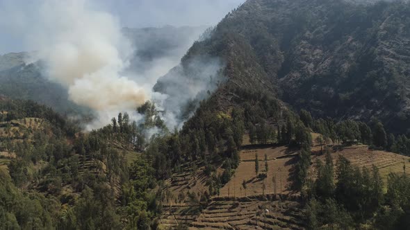 Forest Fire in the Mountains